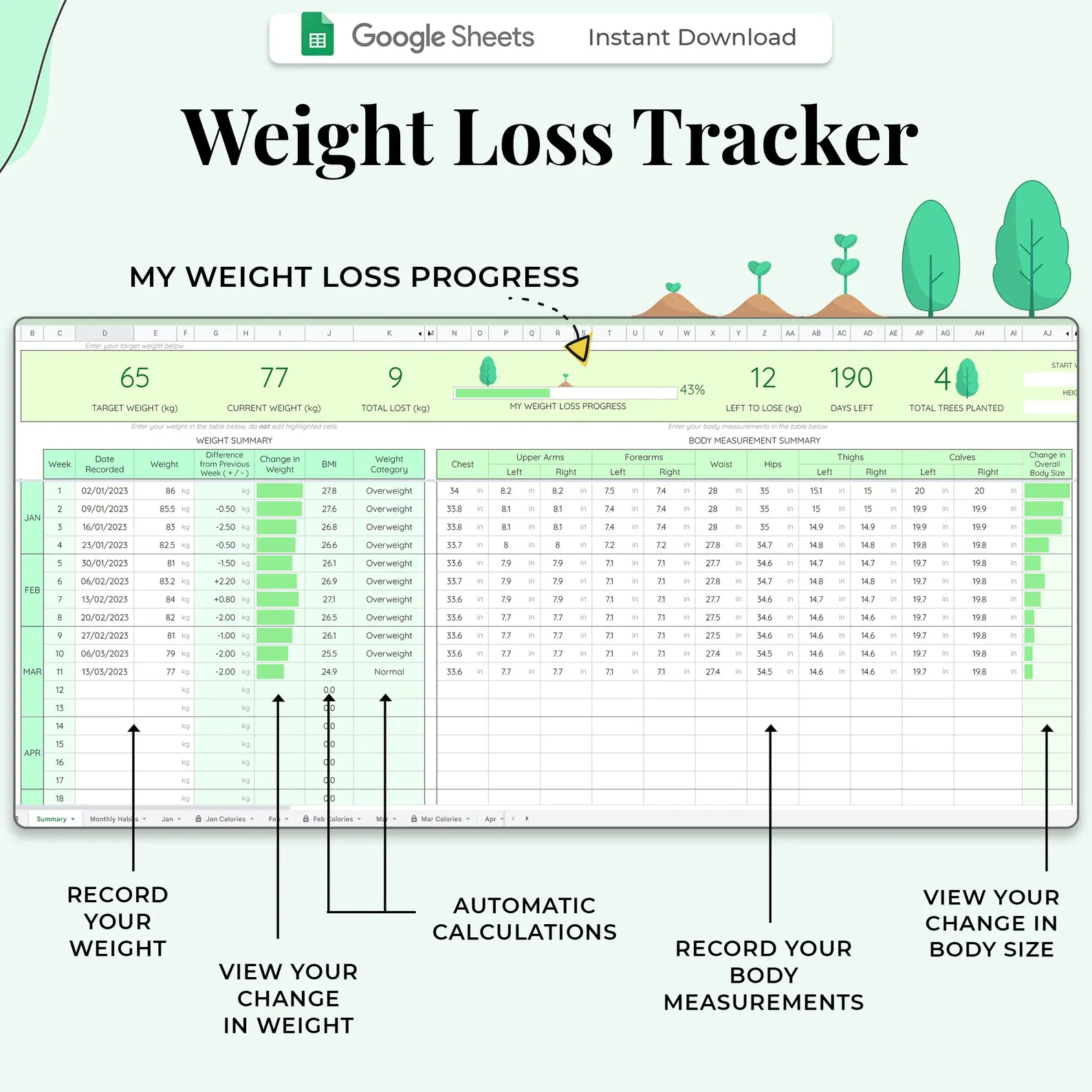 Weight Loss Tracker with automatic calculations